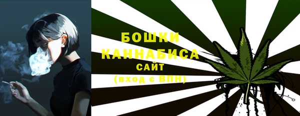 не бодяженный Билибино