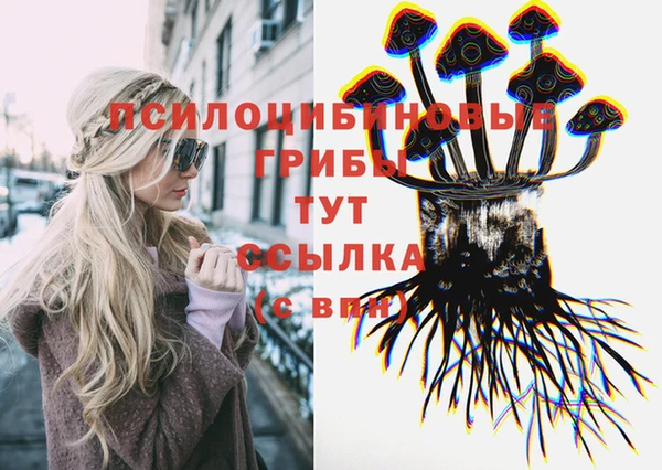 мет Нея