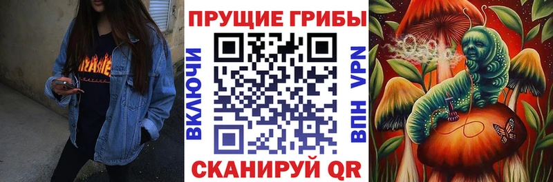 мега Дорогобуж Псилоцибиновые грибы мицелий